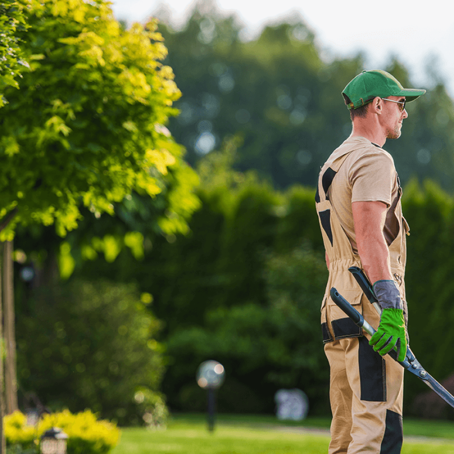 Servicii de peisagistică​
